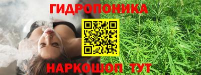 гидропоника Сертолово