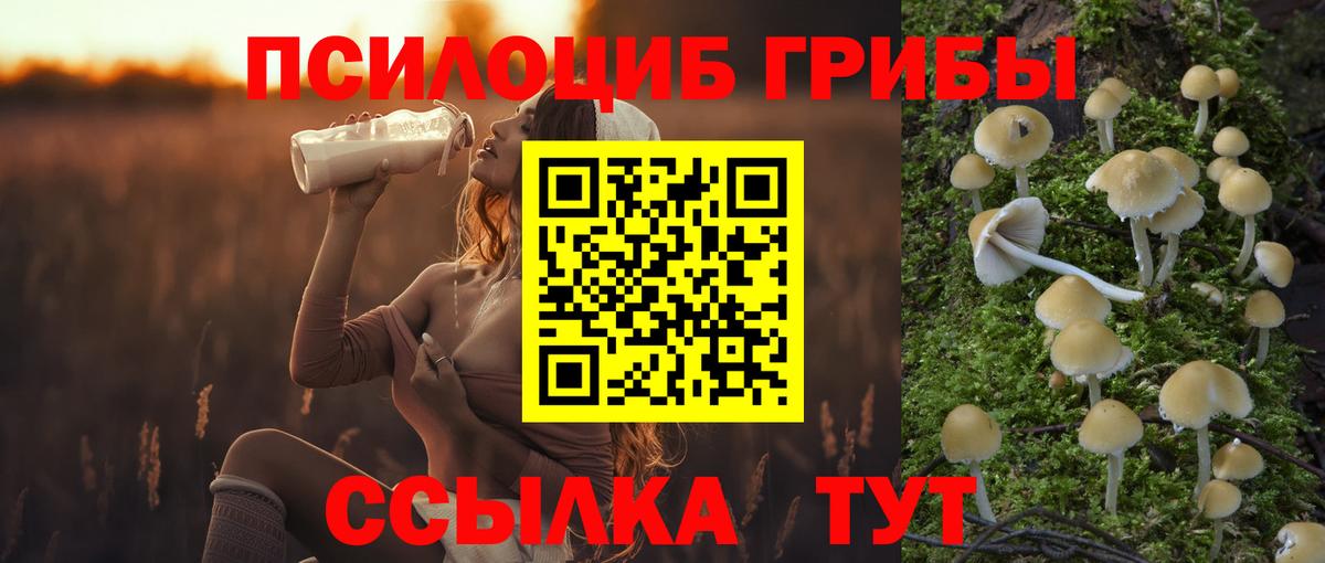 Псилоцибиновые грибы мухоморы  Борисоглебск  Псилоцибиновые грибы MAGIC MUSHROOMS 