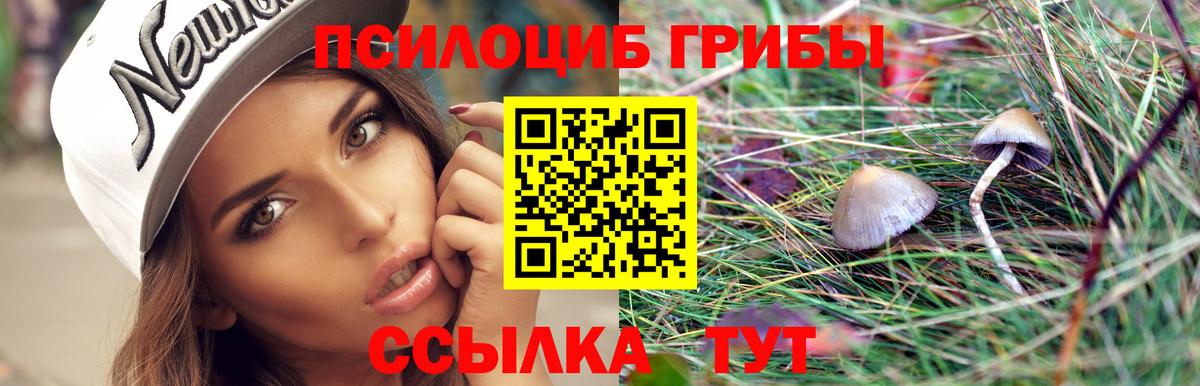 Галлюциногенные грибы мицелий  Вход с VPN  Псилоцибиновые грибы MAGIC MUSHROOMS  Борисоглебск 
